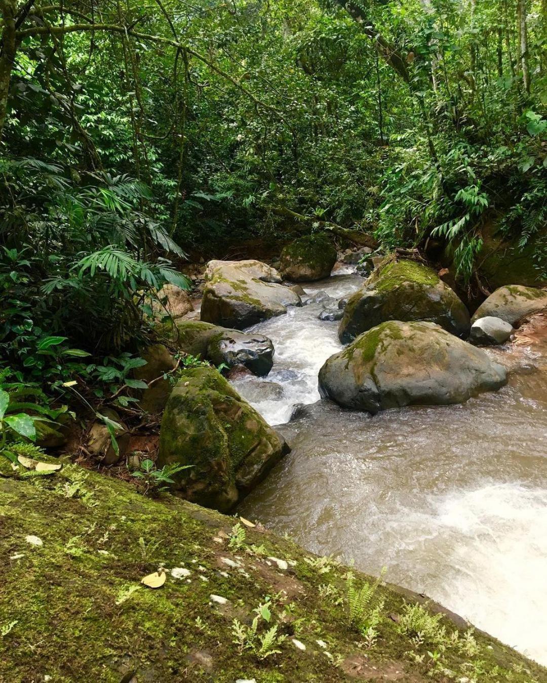 Montana Verde Rivas Bagian luar foto